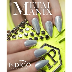 Metal Manix Pigments 2.5g