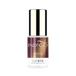 Cat Eye Like a Star Gel Brush 5ml Cat Eye Like a Star Gel Brush 5ml