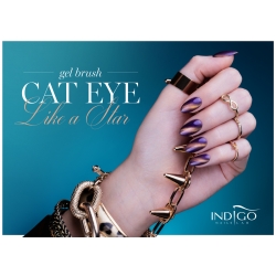 Cat Eye Like a Star Gel Brush 5ml Cat Eye Like a Star Gel Brush 5ml